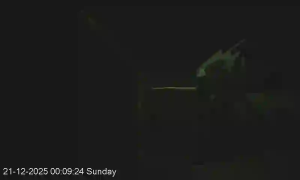 Caméra IP - Nueva Zelanda