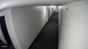 Caméra IP - États-Unis d'Amérique