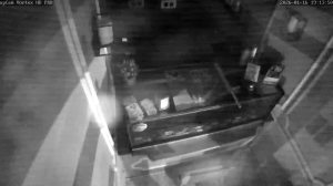 Caméra IP - Germany