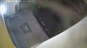 Caméra IP - Russian Federation