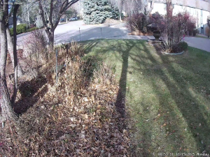 Caméra IP - United States of America