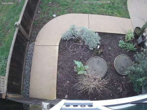 Caméra IP - Canadá