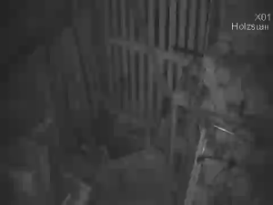 Caméra IP - Germany