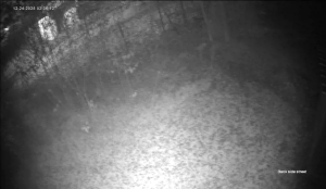 Caméra IP - États-Unis d'Amérique