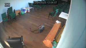 Caméra IP - United States of America