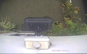 Caméra IP - Royaume-Uni