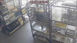 Caméra IP - Singapore