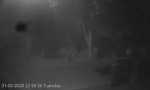 Caméra IP - Australia