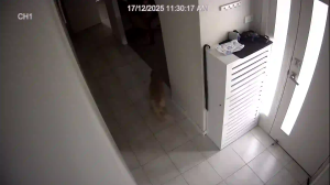 Caméra IP - Australia