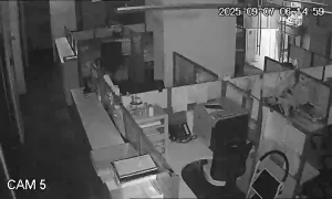 Caméra IP - Singapore