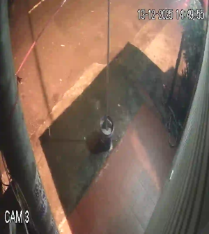 Caméra IP - Vietnam