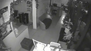 Caméra IP - Russian Federation