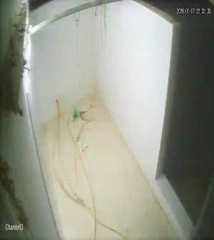 Caméra IP - United Arab Emirates