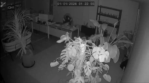 Caméra IP - South Korea