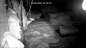 Caméra IP - Bangladesh