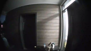 Caméra IP - Australia