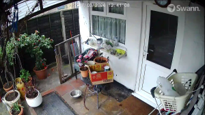 Caméra IP - Royaume-Uni