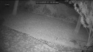 Caméra IP - États-Unis d'Amérique