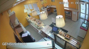 Caméra IP - Russian Federation