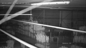 Caméra IP - Netherlands