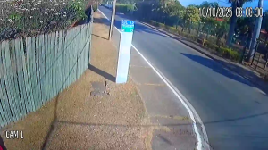 Caméra IP - Brasil