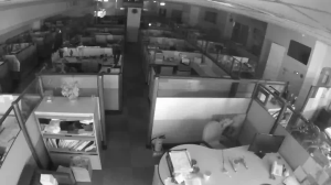 Caméra IP - Taiwan, Province of China