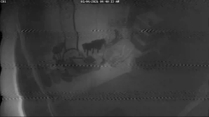 Caméra IP - États-Unis d'Amérique