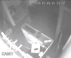 Caméra IP - Spanien