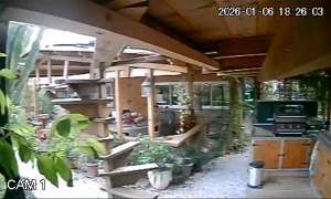 Caméra IP - Spanien