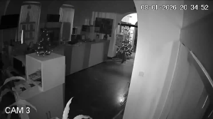 Caméra IP - Serbien