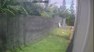 Caméra IP - Mauritius