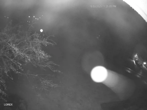 Caméra IP - Vereinigte Staaten von Amerika