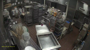 Caméra IP - Vereinigte Staaten von Amerika