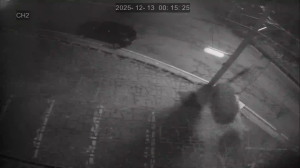 Caméra IP - Südkorea