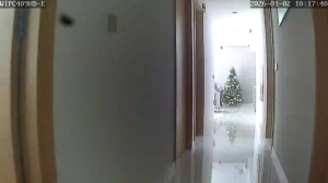 Caméra IP - Singapore