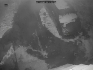 Caméra IP - United States of America