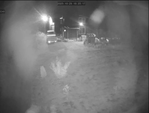 Caméra IP - Südkorea