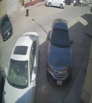 Caméra IP - Arabie Saoudite