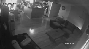 Caméra IP - Estados Unidos