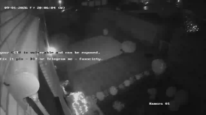 Caméra IP - Alemania