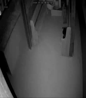 Caméra IP - Corea del Sud