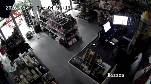 Caméra IP - Hungary