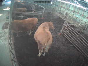 Caméra IP - Südkorea