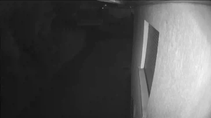 Caméra IP - Francia