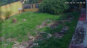 Caméra IP - Bolivia