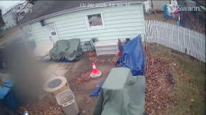 Caméra IP - Vereinigte Staaten von Amerika