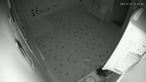 Caméra IP - República de Corea