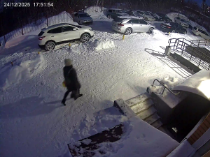 Caméra IP - Russian Federation