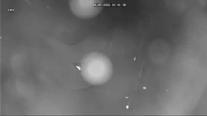 Caméra IP - South Korea