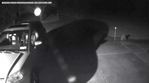 Caméra IP - United States of America